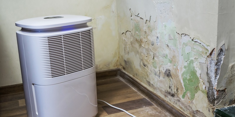 Wat kan je preventief doen tegen vocht bij een woning die langere tijd leegstaat?