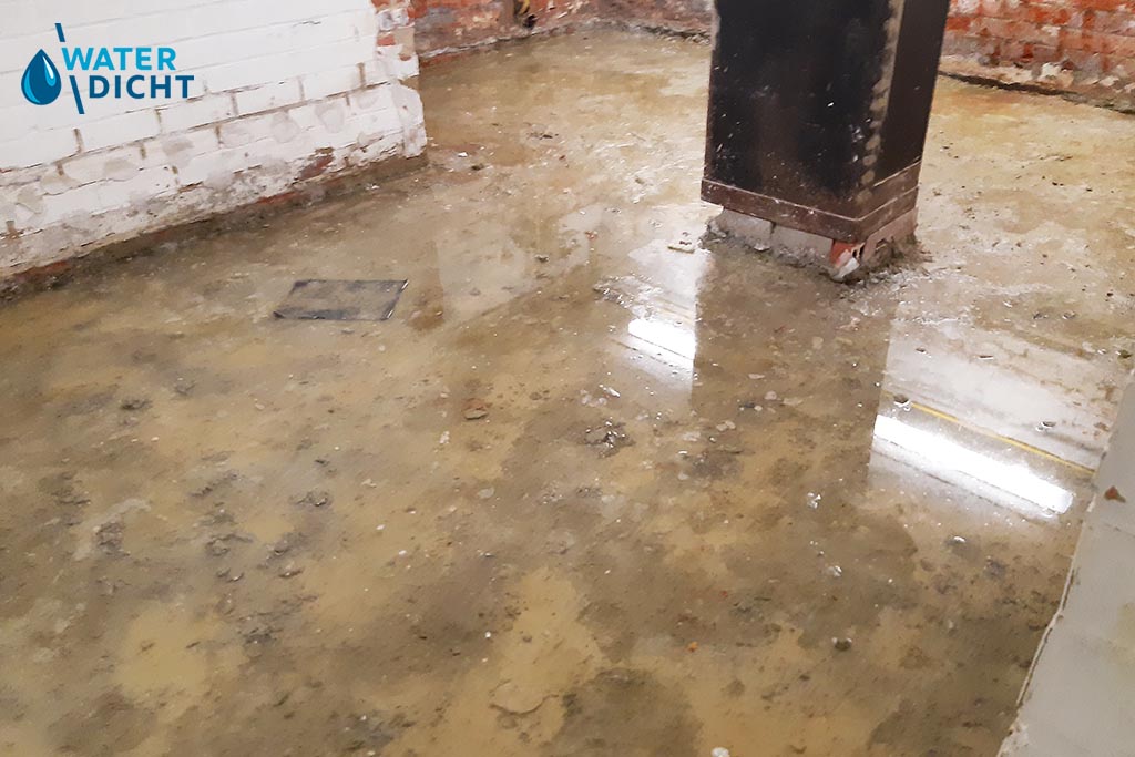 Voorbeeld van grondvocht in een kelder